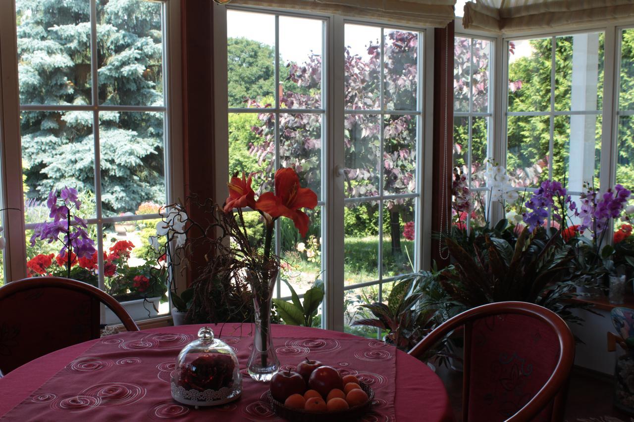 Homestay Svata Экстерьер фото